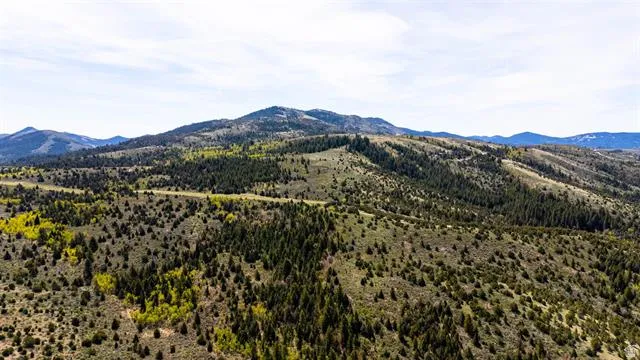 Expansive mountain terrain featuring diverse tree coverage including evergreens and deciduous growth