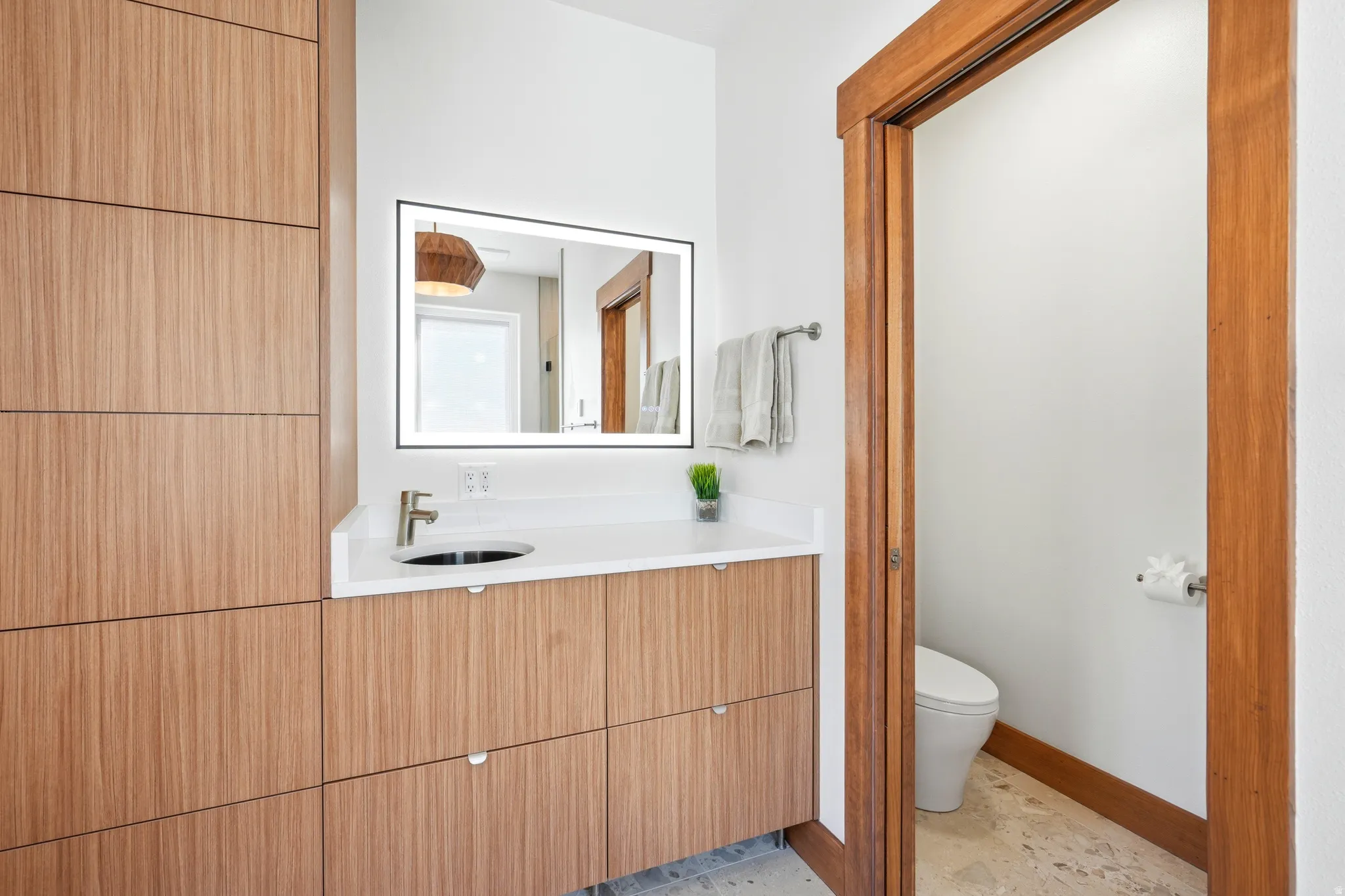 Primary bath vanity with separate water closet.