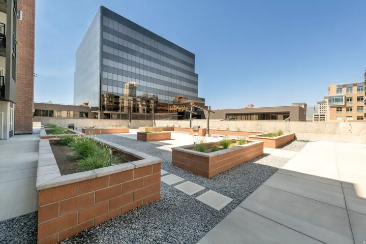 Shared Outdoor Plaza