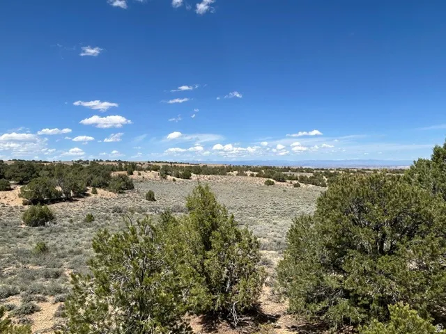 Expansive undeveloped land featuring natural desert vegetation and distant mountain ranges