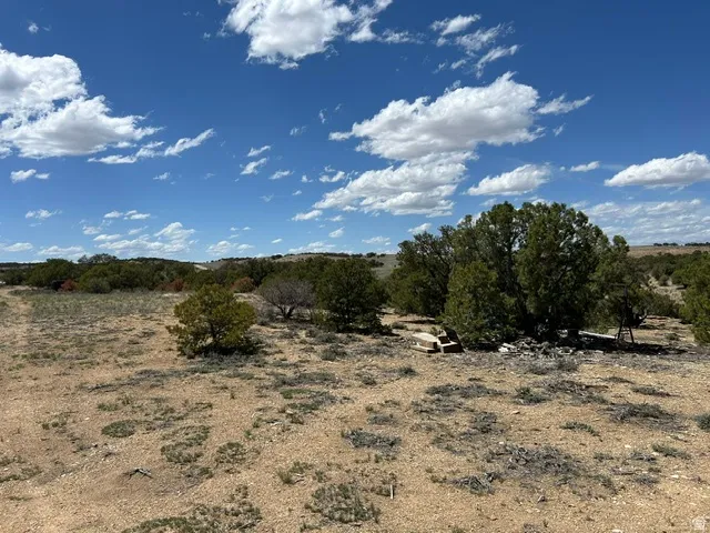 Expansive arid landscape featuring scattered evergreen trees and scrub brush under a broad blue sky with white clouds
