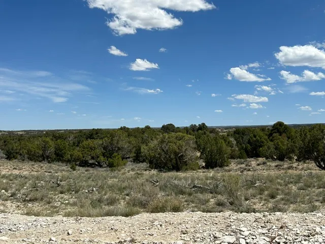 Expansive undeveloped land featuring natural desert vegetation, varied topography, and a clear sky