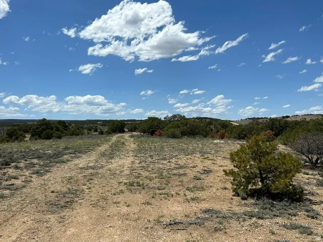 Expansive open land featuring natural vegetation and a clear blue sky