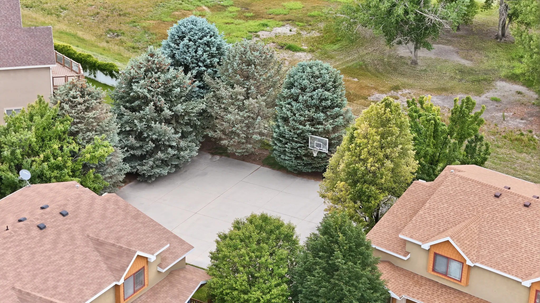 Expansive concrete pad surrounded by mature trees, featuring a basketball hoop