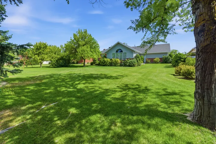 Expansive green lawn with mature trees providing partial shade