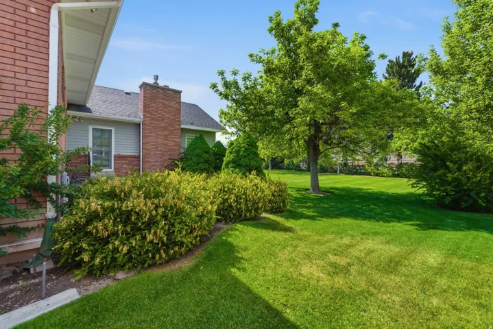 Expansive lawn area bordered by mature trees and shrubs