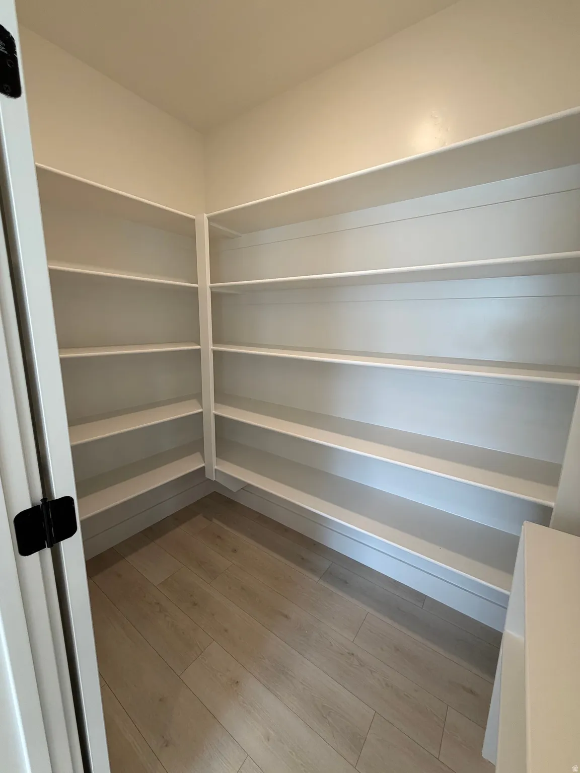 Spacious pantry featuring extensive built-in shelving, light wood-finish flooring, and white painted walls