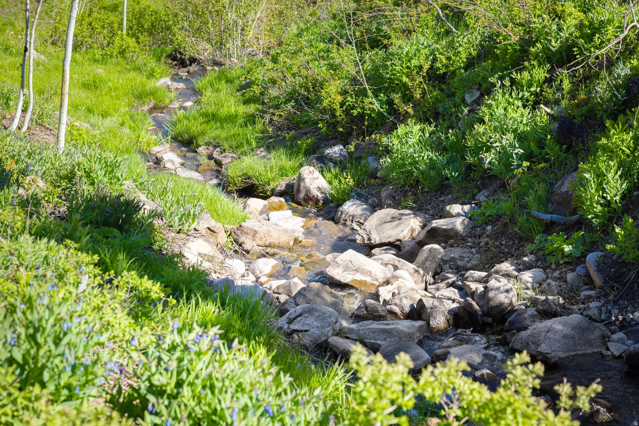 View of nature
