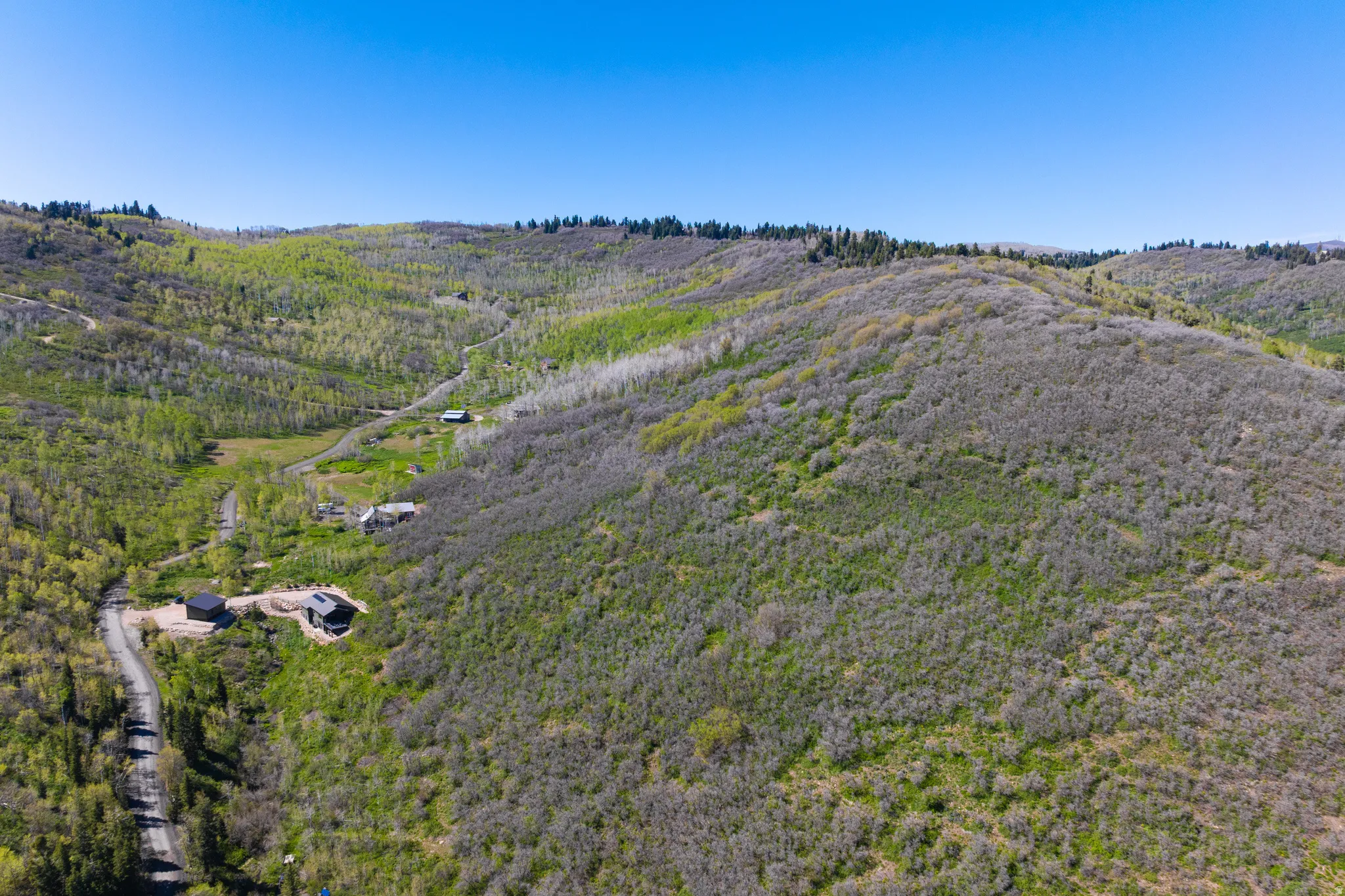 Bird's eye view of a heavily wooded area