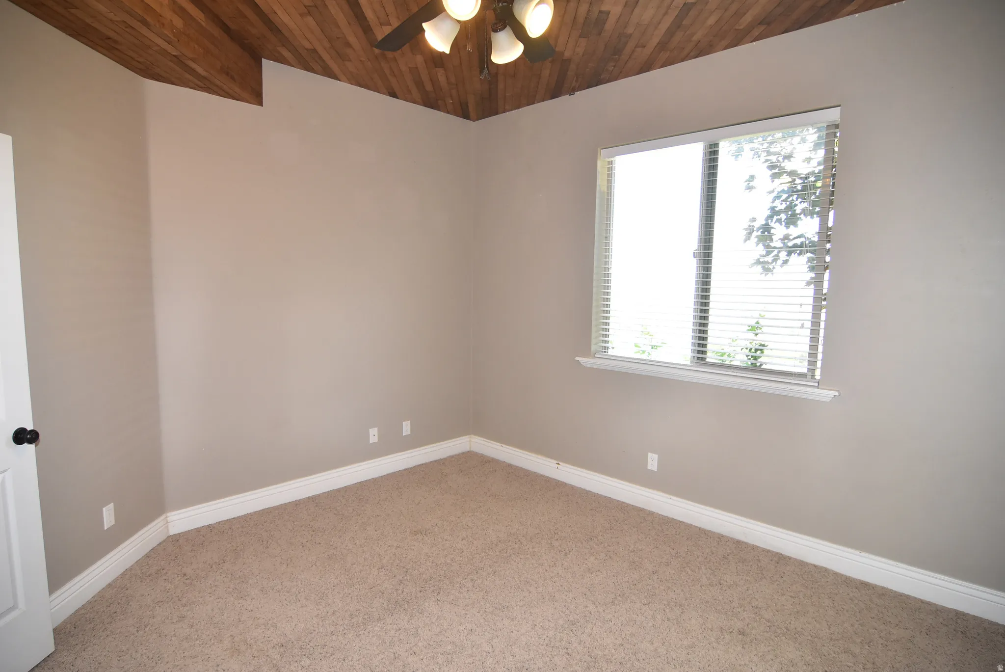 Bedroom with daylight windows and views, featuring a wood-panel ceiling, neutral wall paint, and plush carpet flooring