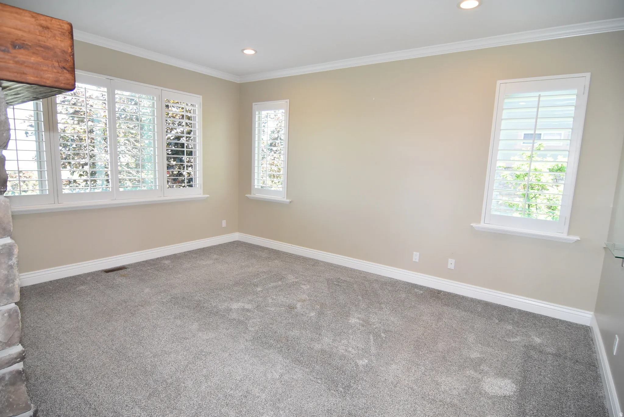 Spacious Owner's room featuring neutral carpeting, light beige walls, and crown molding