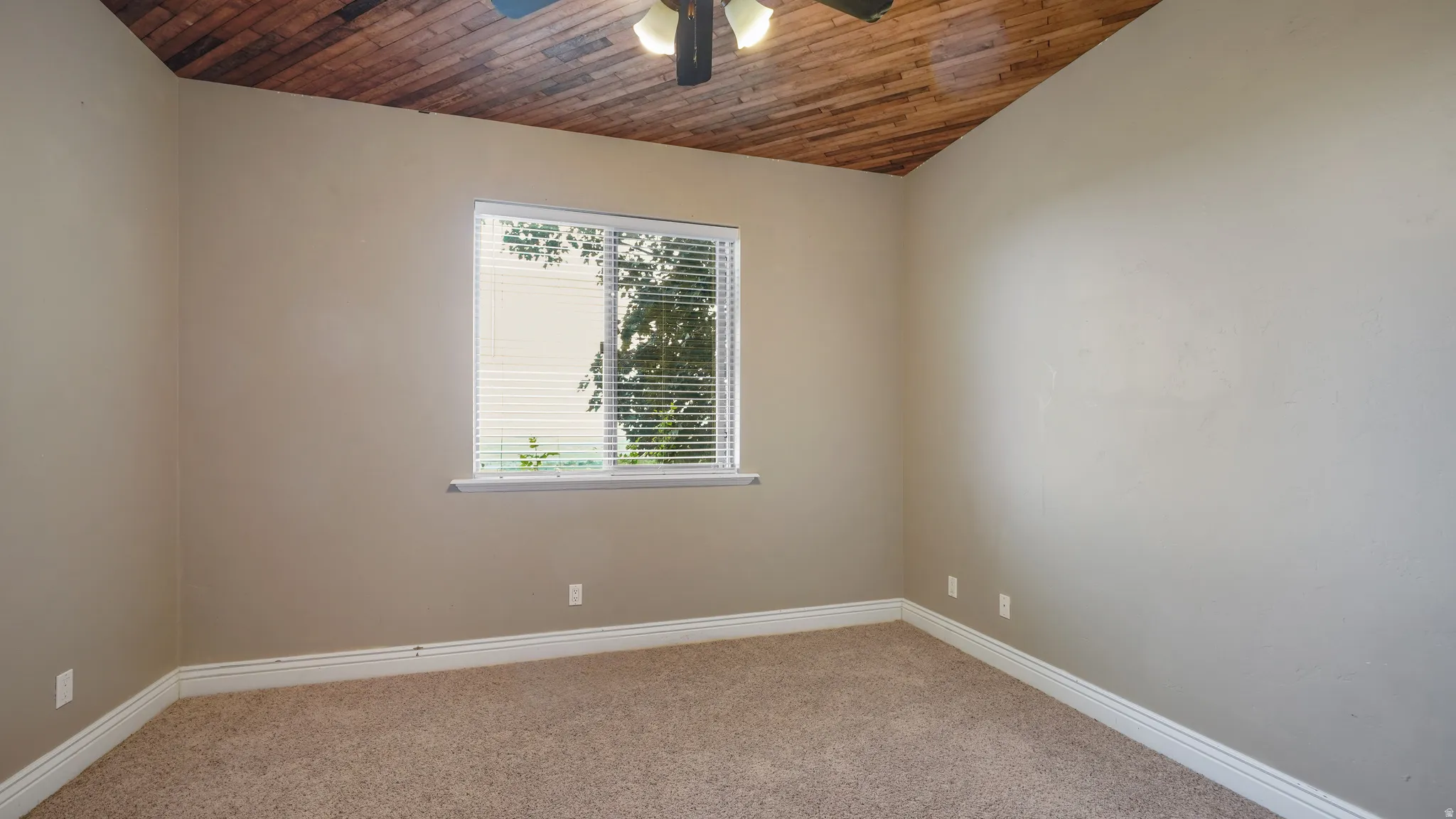 Room featuring wood-planked ceiling, textured carpeting, neutral wall color, and a window with horizontal blinds