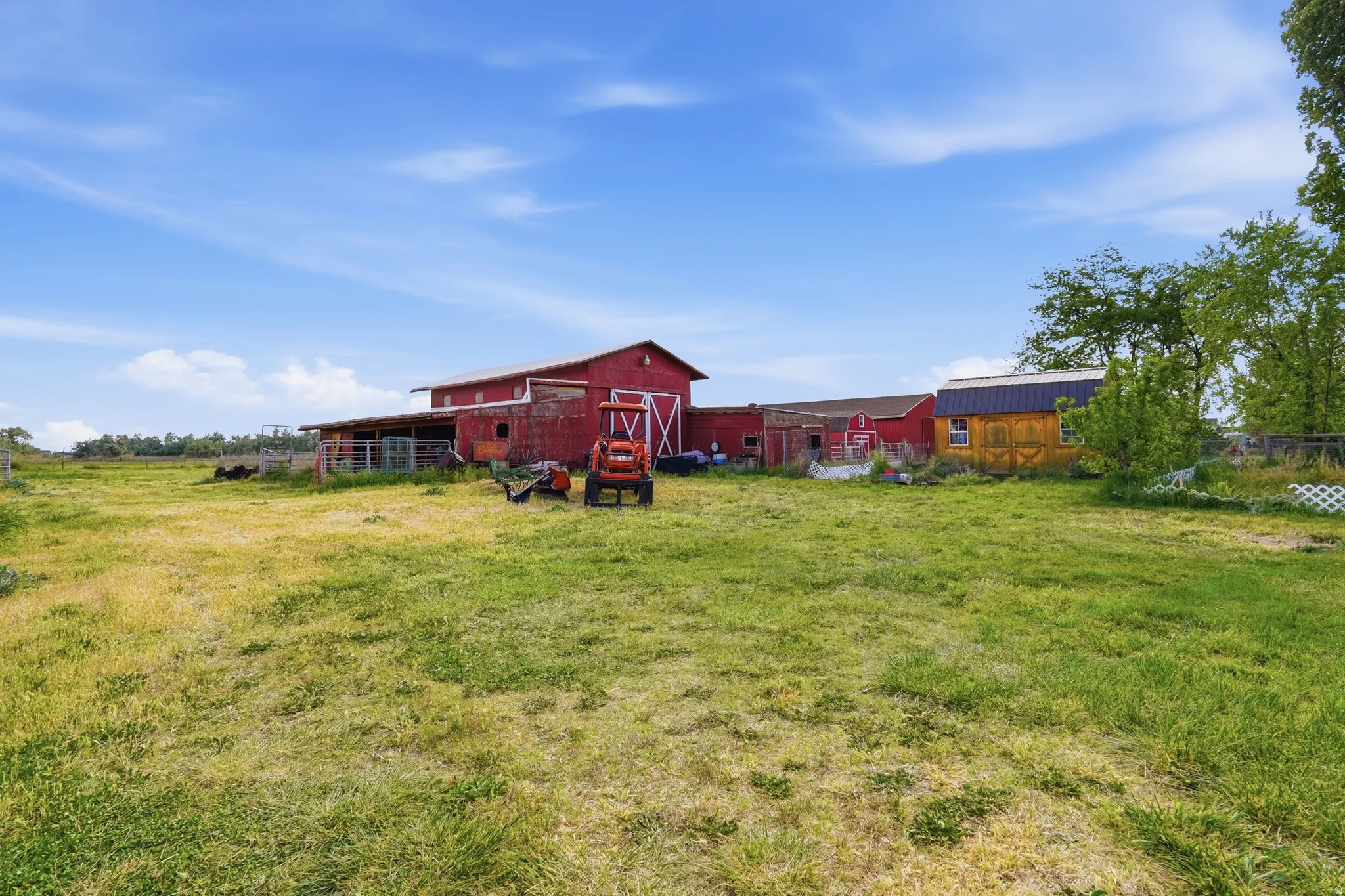 Expansive grassy field with multiple red barn structures and an additional yellow shed