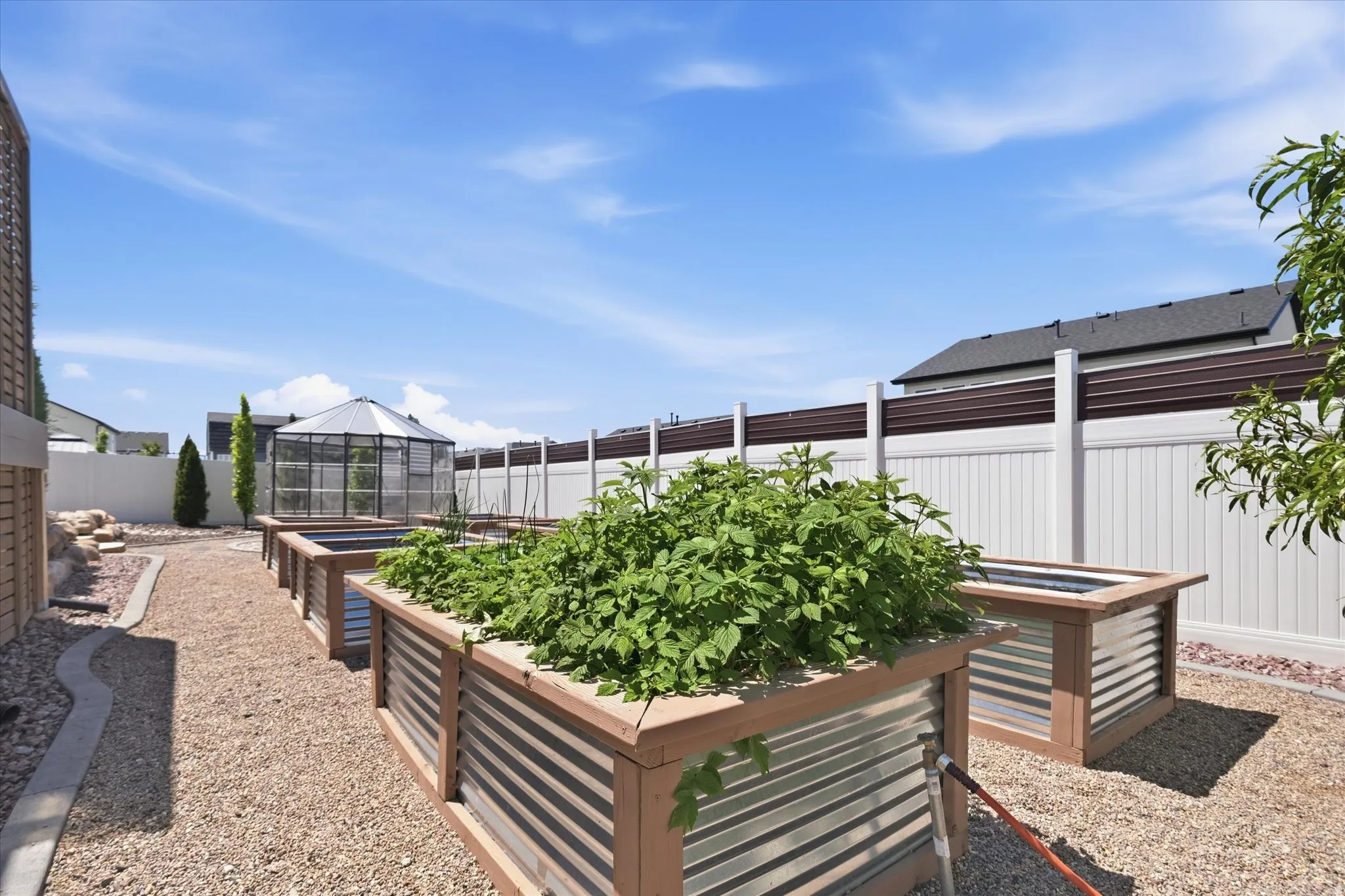 Backyard garden space featuring multiple raised planter beds with wood frames and corrugated metal siding