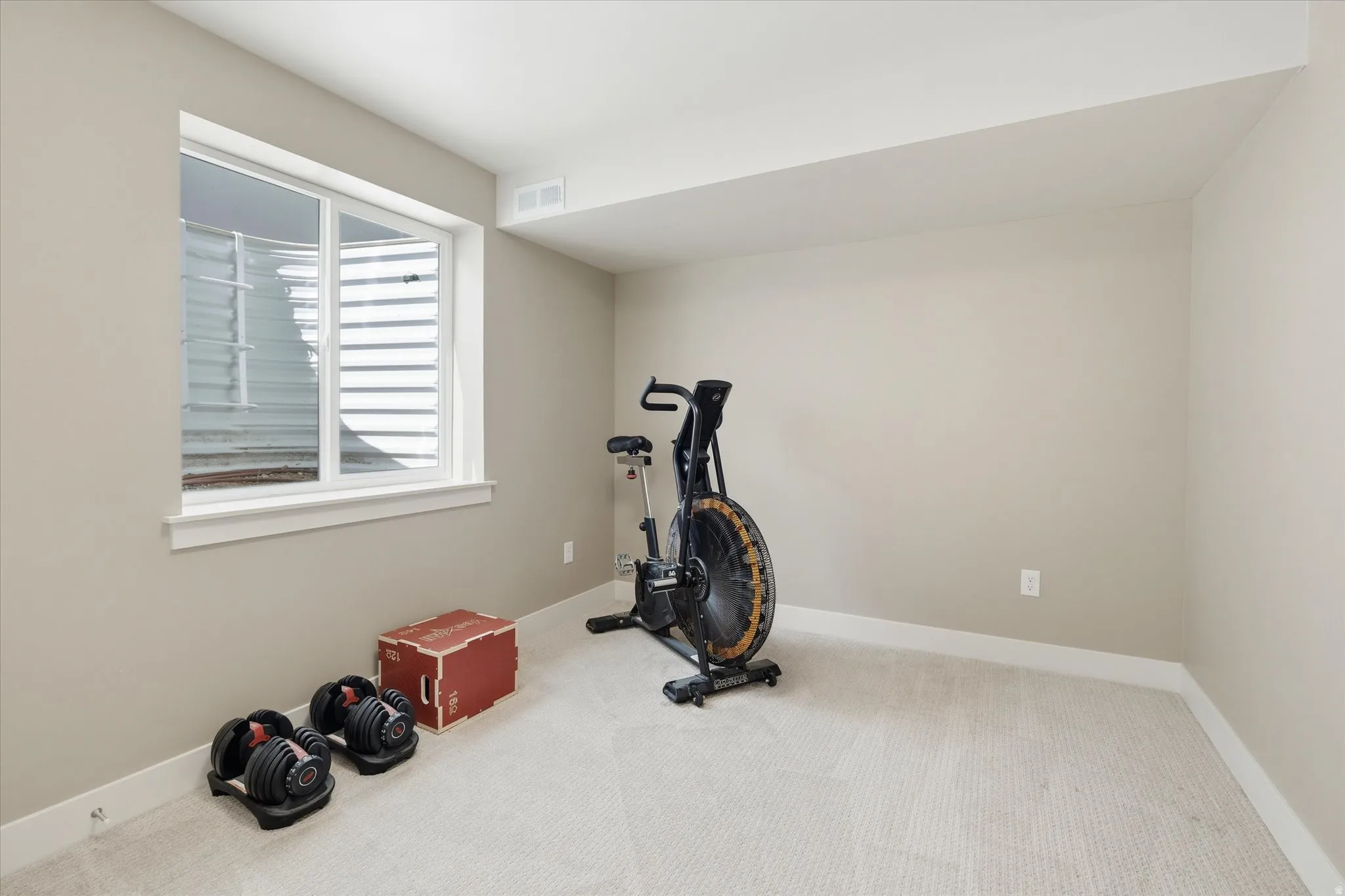 Carpeted room with a white-trimmed window