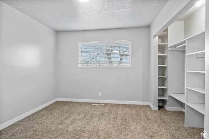 Light gray painted walls with white trim and textured carpet flooring