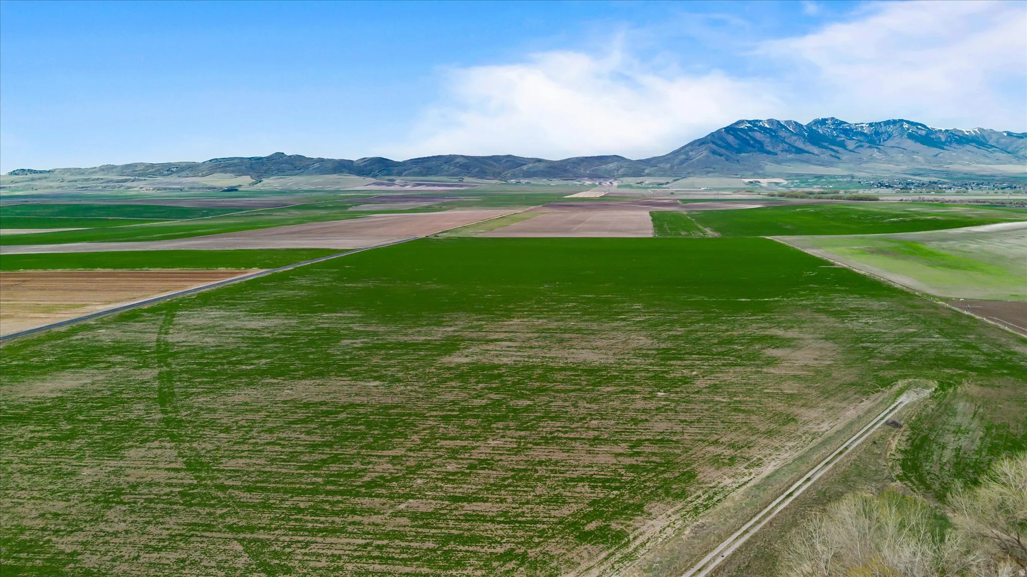 Expansive agricultural fields under a clear blue sky, featuring a distant mountain range with snow-capped peaks