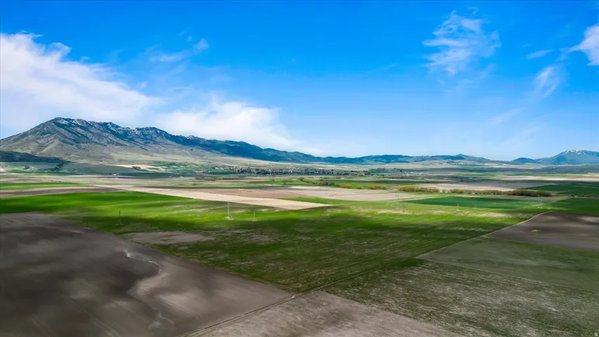 Expansive agricultural landscape featuring varied cultivated fields under a clear blue sky