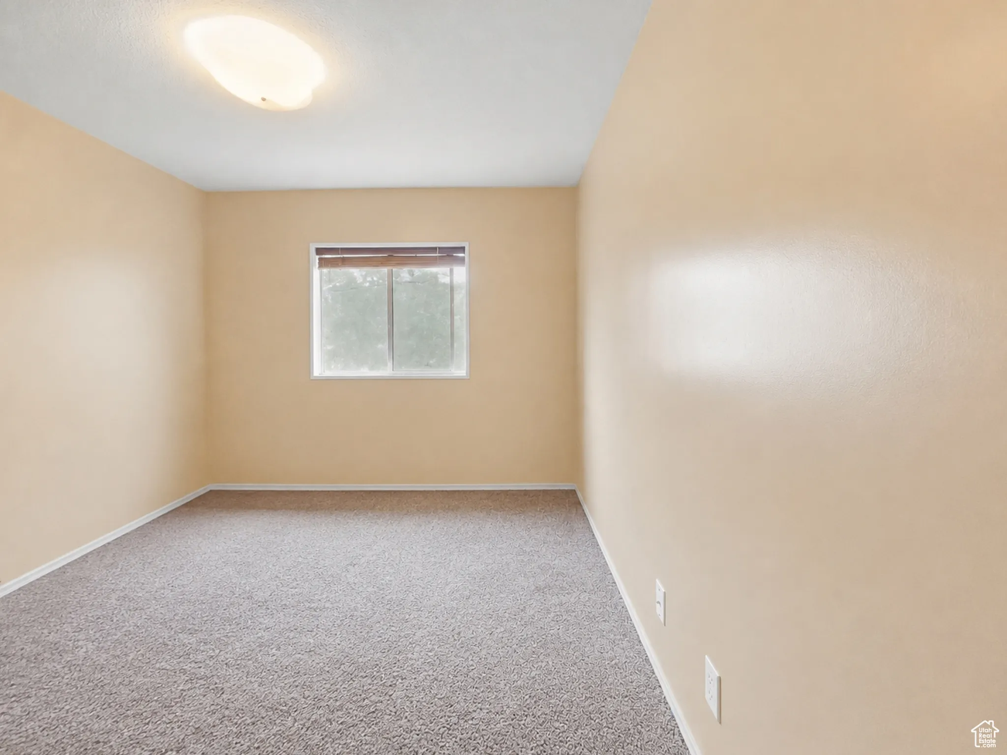 Neutral-toned room featuring a single window with blinds, a flush-mount ceiling light fixture, and textured carpeting