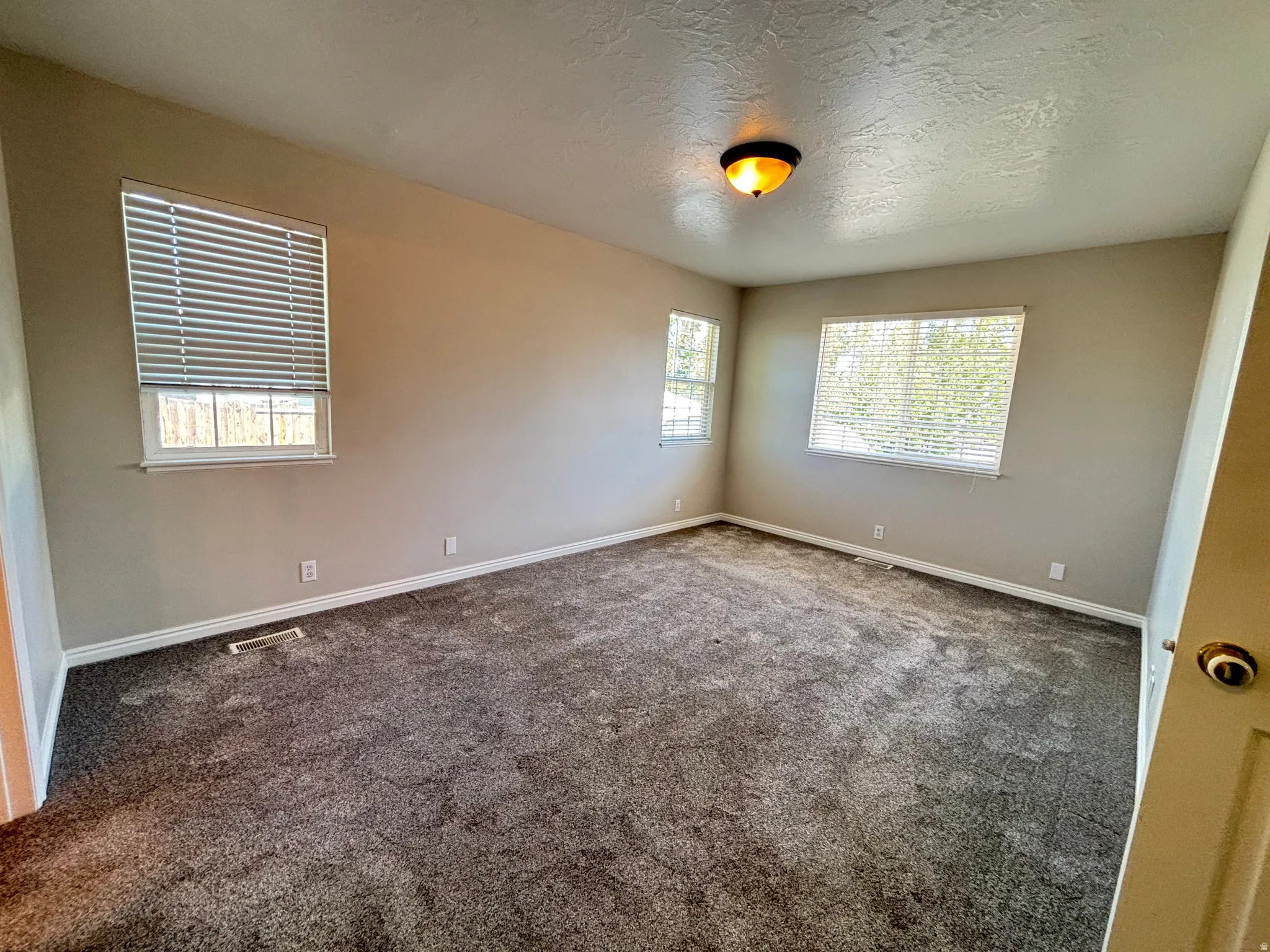 Spacious room with gray wall paint and textured gray carpet flooring