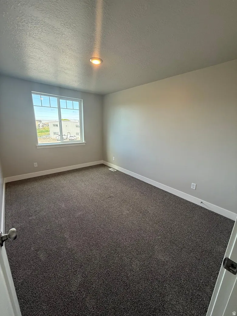 Spacious room featuring neutral carpeting, a large window, light-toned walls, white baseboards, and a ceiling-mounted light fixture