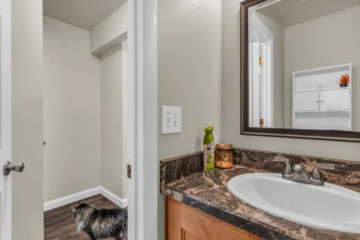 Bathroom vanity featuring a drop-in sink, brushed nickel faucet, and a dark patterned countertop