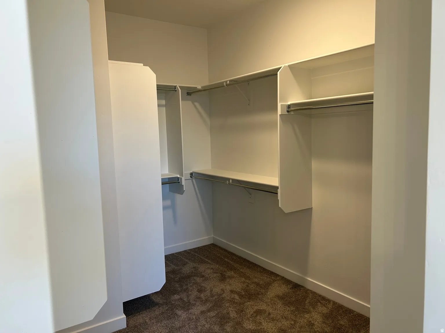 Carpeted walk-in closet featuring white built-in shelving and clothing rods