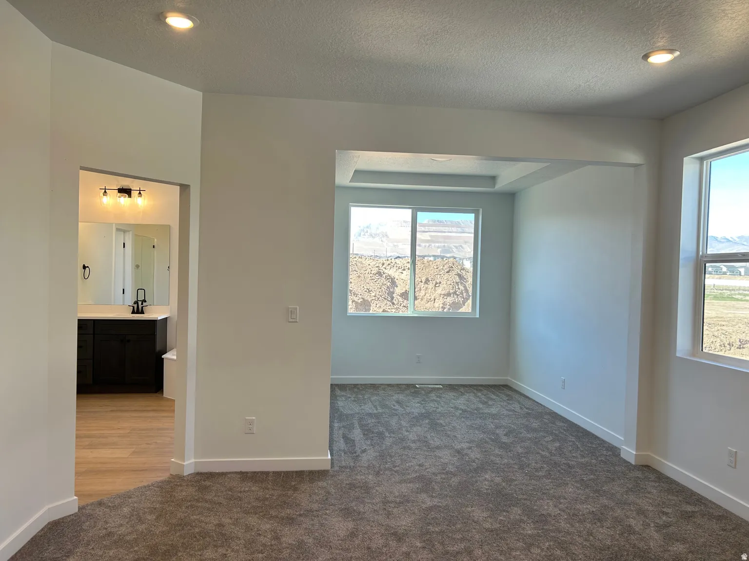 Spacious room with carpet flooring featuring multiple windows, a tray ceiling, and recessed lighting