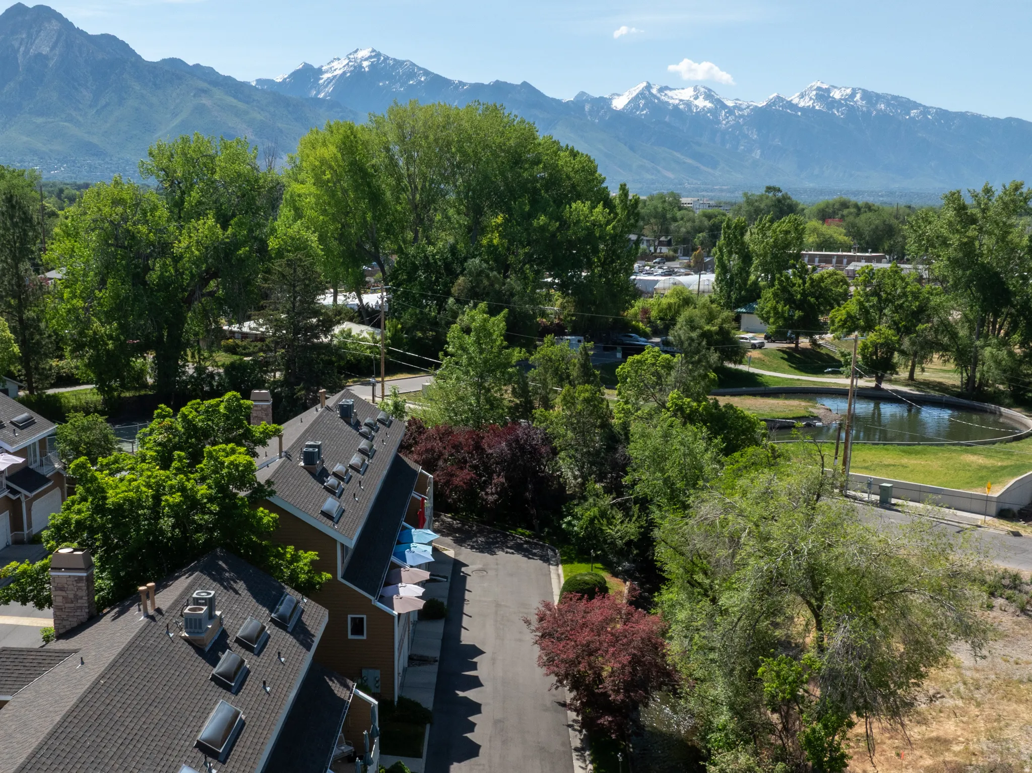 Aerial perspective showcasing residential rooftops with multiple skylights and chimneys, surrounded by mature green trees