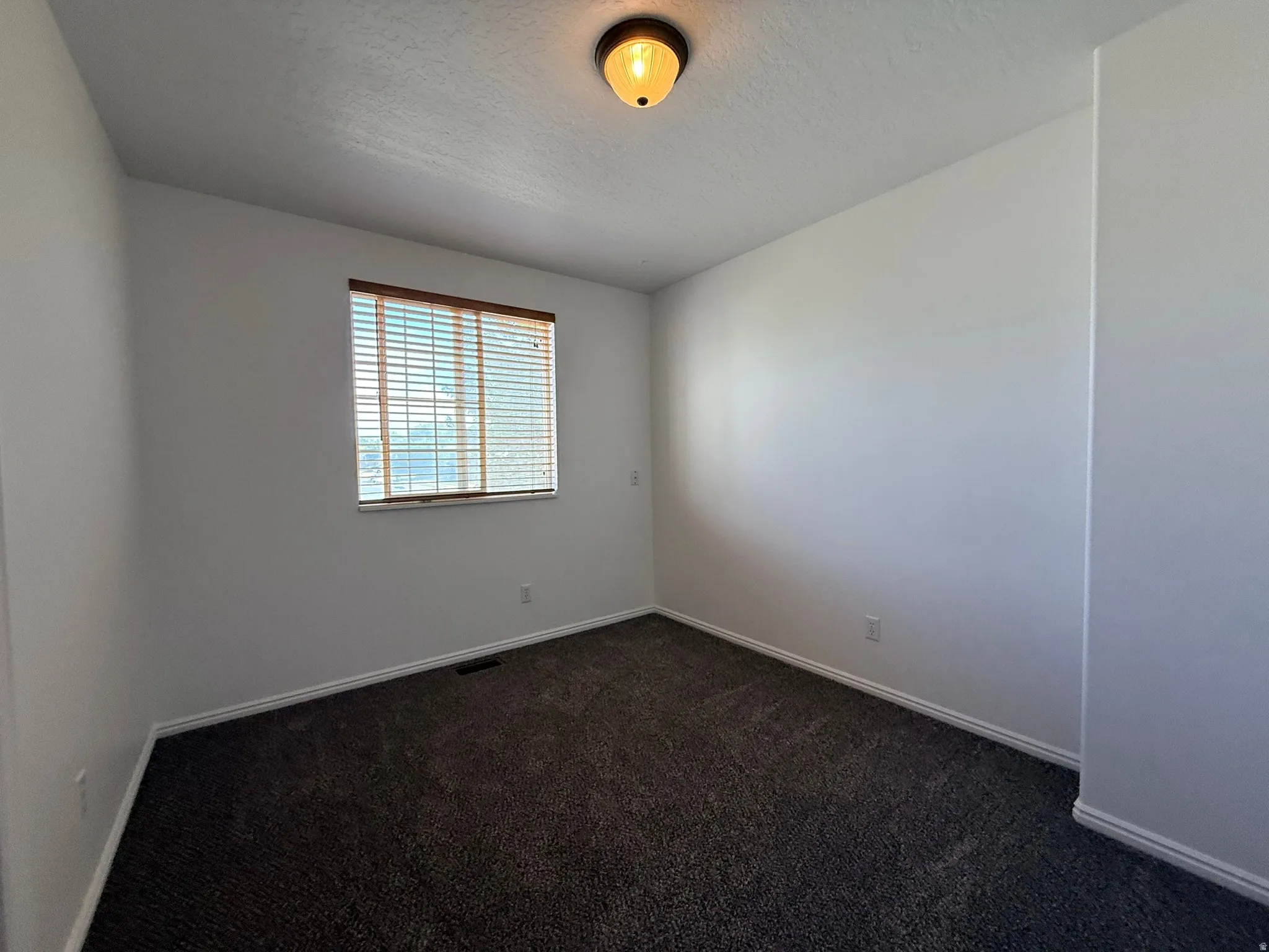Room featuring a single window with horizontal blinds, dark textured carpeting, white baseboards, and a flush-mount ceiling light fixture