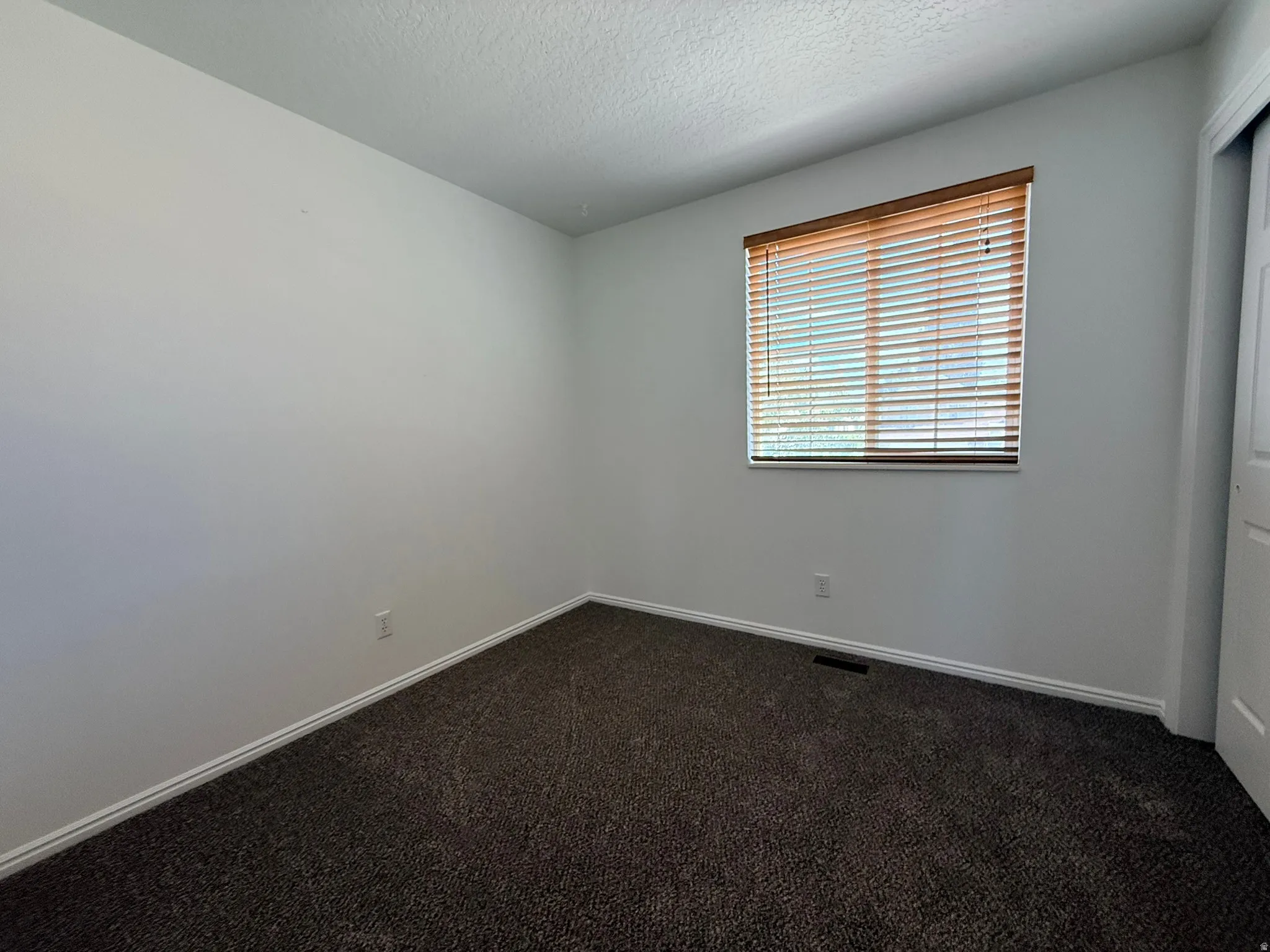 Neutral interior room featuring a window with wood-finish blinds, textured dark carpeting, and light-toned walls