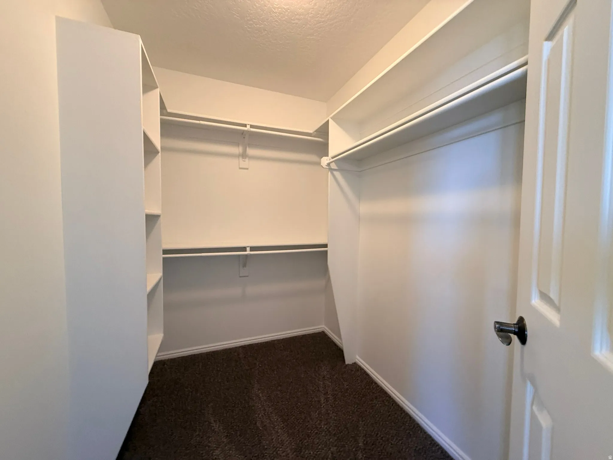 Walk-in closet featuring built-in shelving, dual hanging rods, and dark carpeting