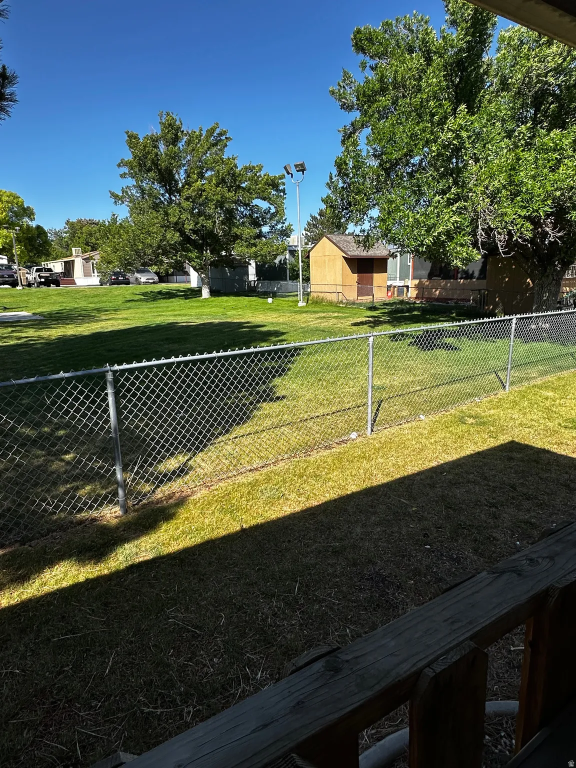 Expansive outdoor space featuring a chain-link fence and mature trees
