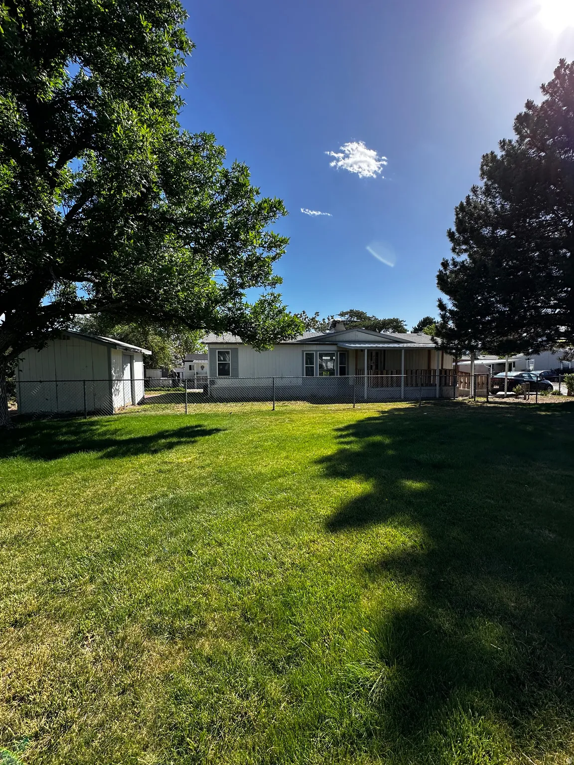 Expansive lawn area featuring a chain-link fence, mature trees, and a storage shed