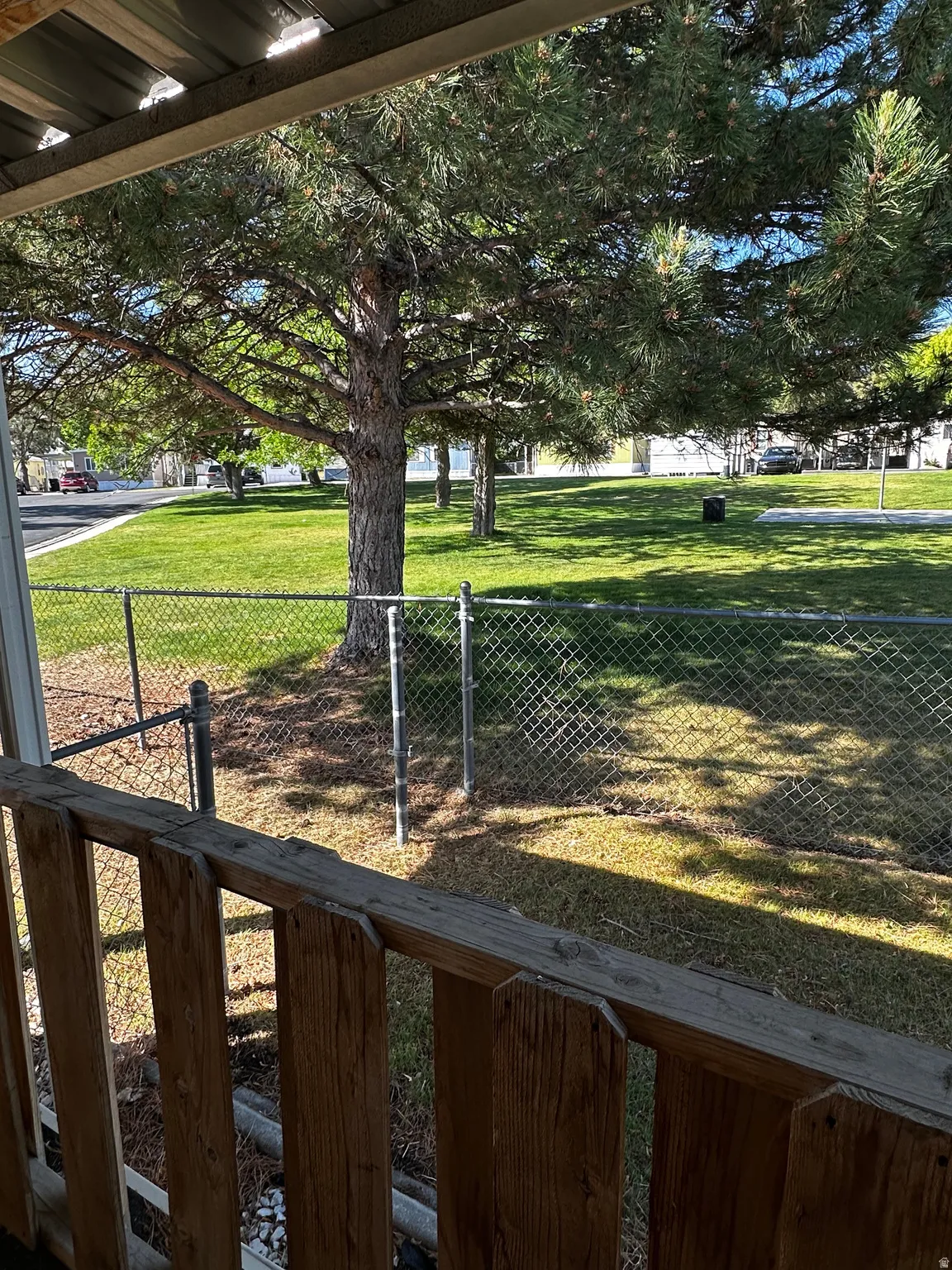 Expansive green space featuring mature trees and a chain-link fence