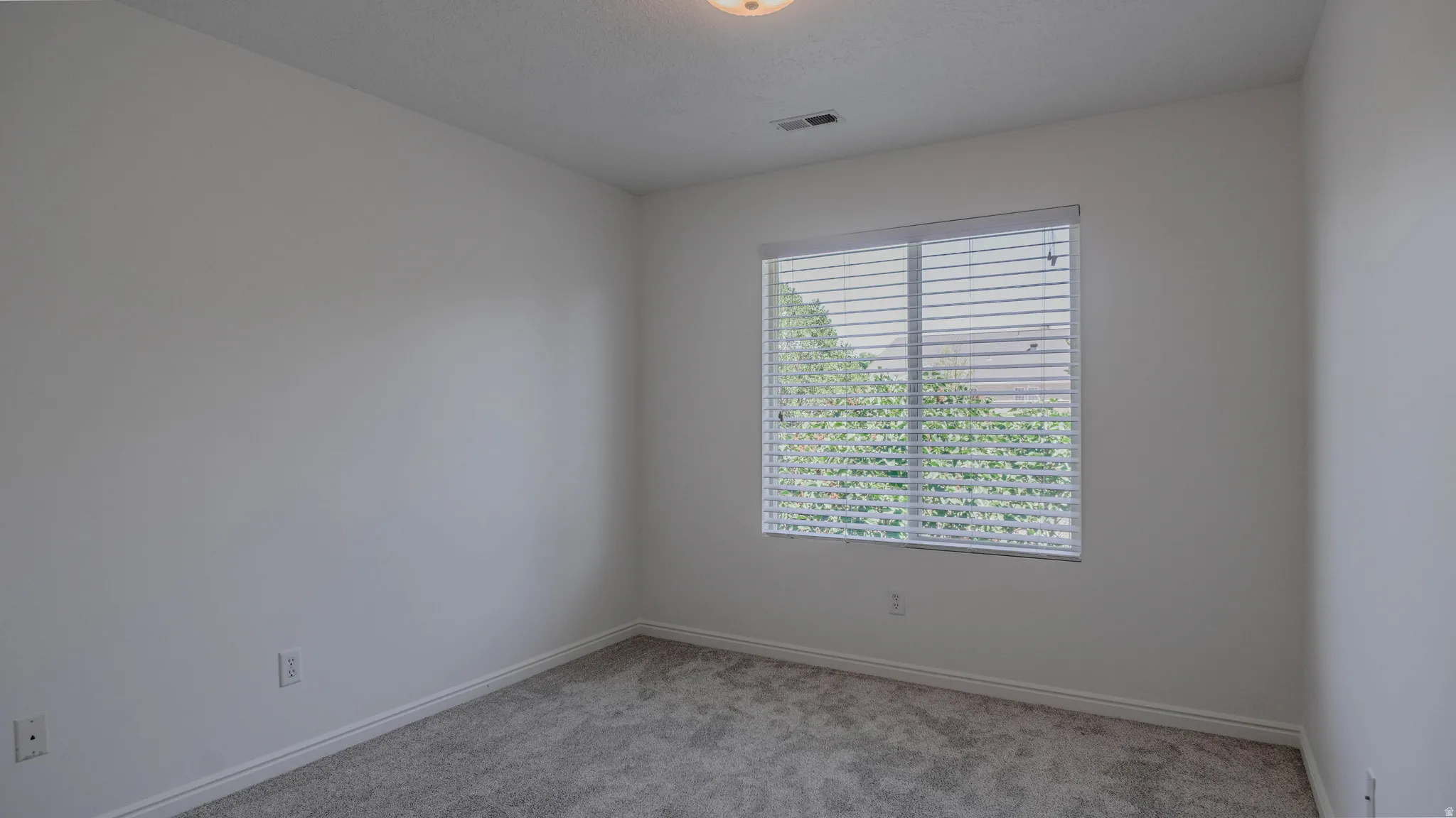 Neutral walls, window with horizontal blinds, grey carpet, white baseboards, and ceiling-mounted light fixture
