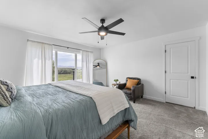 White walls with light gray carpet