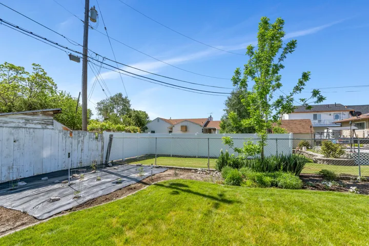 Backyard garden area