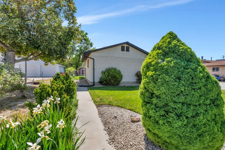 Side yard view