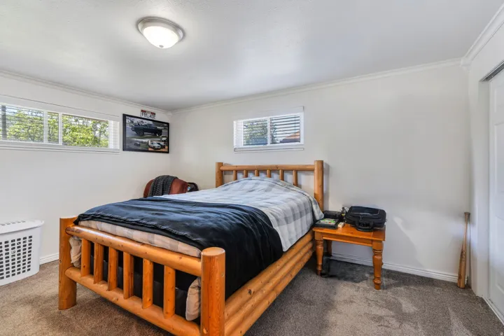 Carpeted room with white walls, multiple windows, and crown molding