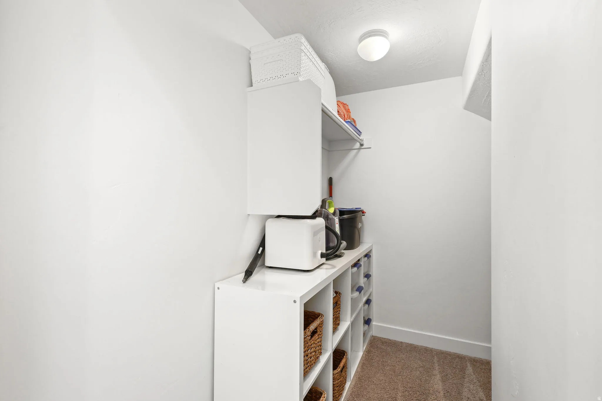 Compact storage area featuring built-in shelving, white walls, and carpet flooring