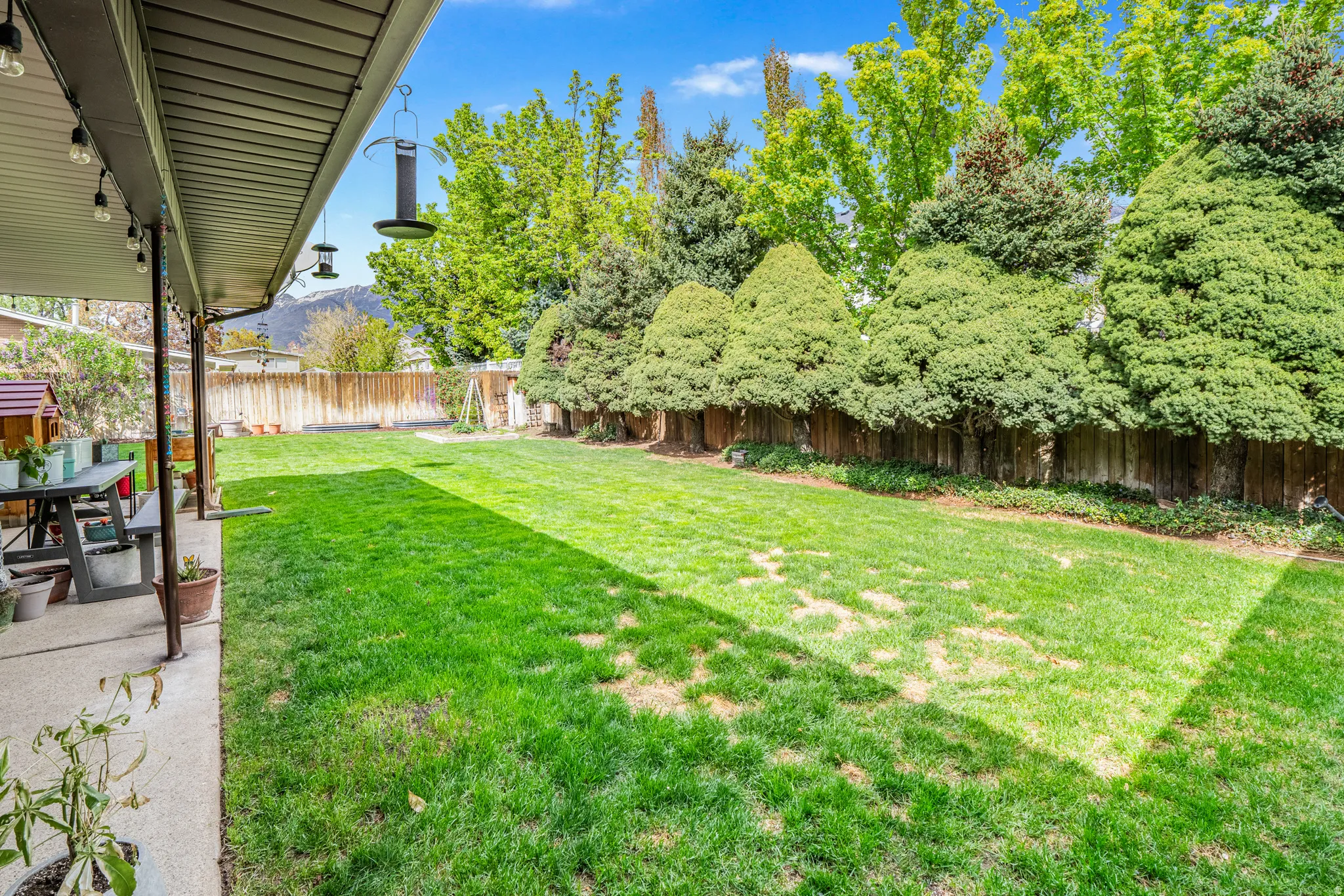 Expansive backyard featuring a lush lawn, mature perimeter trees, and a wooden privacy fence