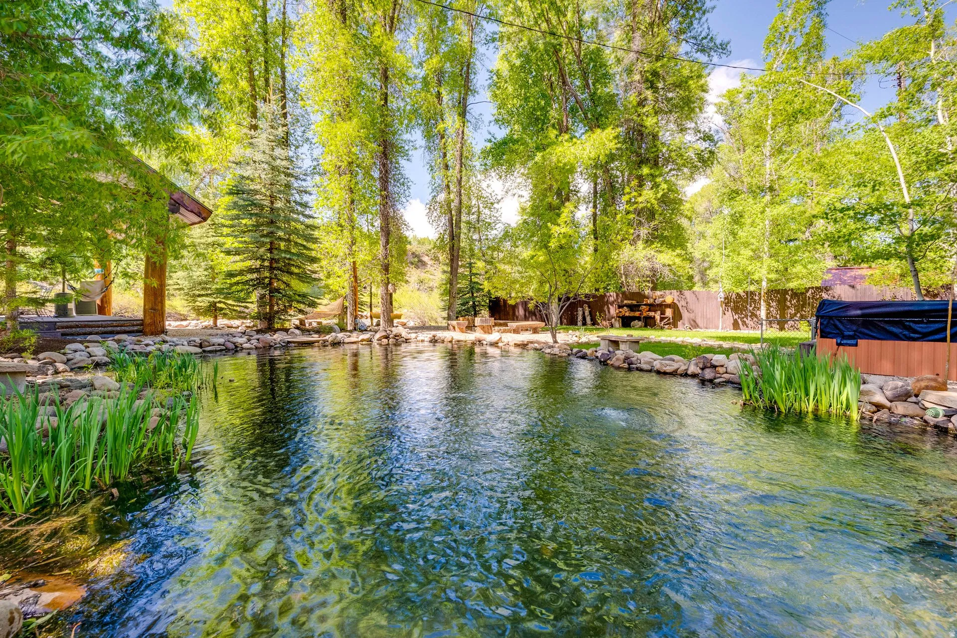 Expansive backyard featuring a serene pond with rock edging and established aquatic plantings