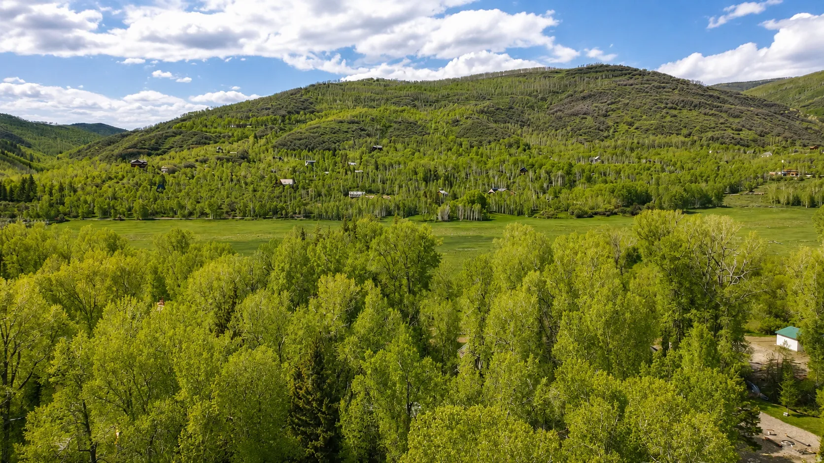 Expansive natural landscape with verdant trees and a distant mountain backdrop