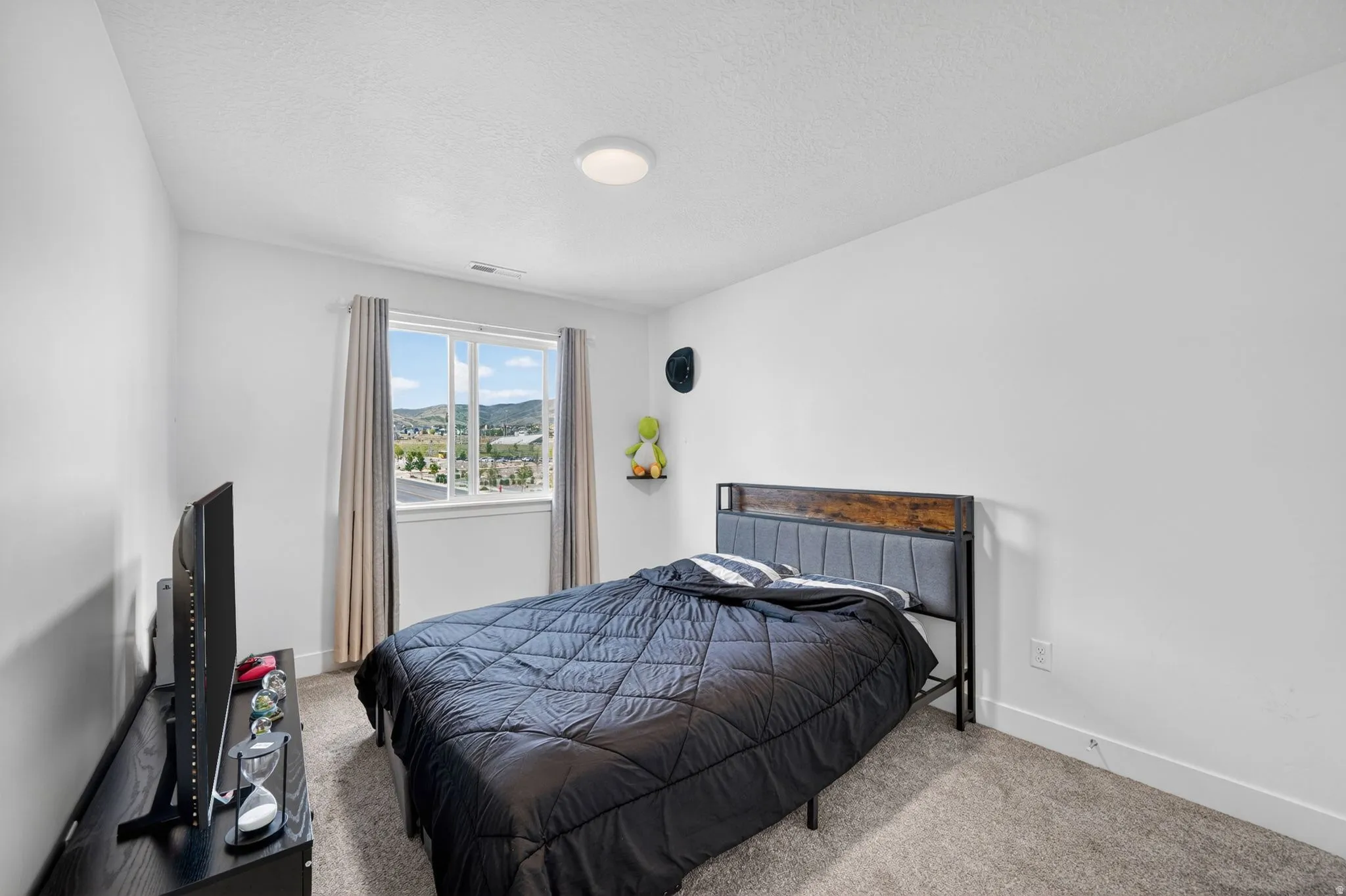Carpeted room featuring a double window with blinds and mountain scenery, a ceiling-mounted light fixture, and a built-in wall shelf