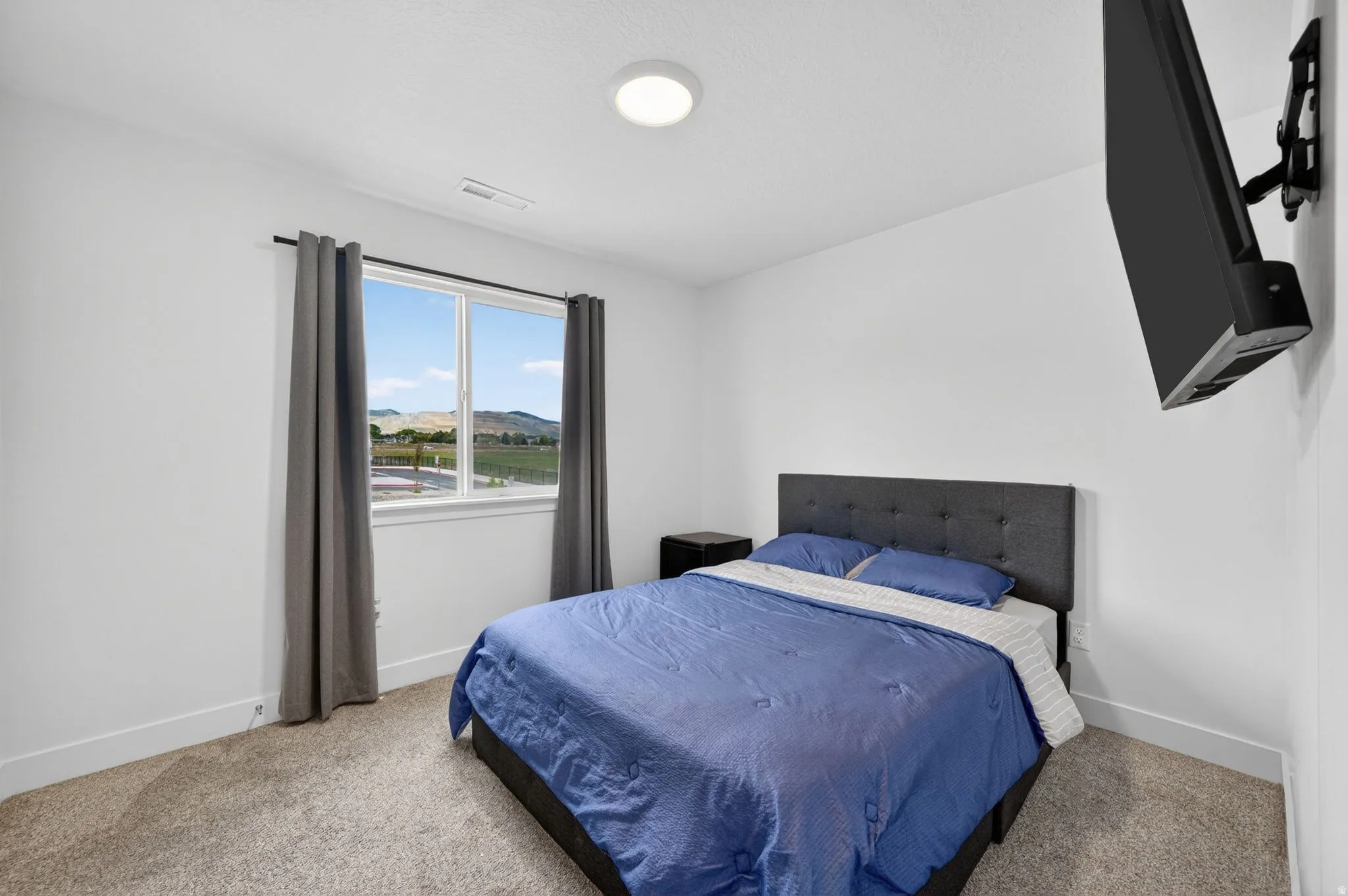 Bright room featuring a large window with distant scenery, carpet flooring, a wall-mounted television, and a flush-mount ceiling light fixture