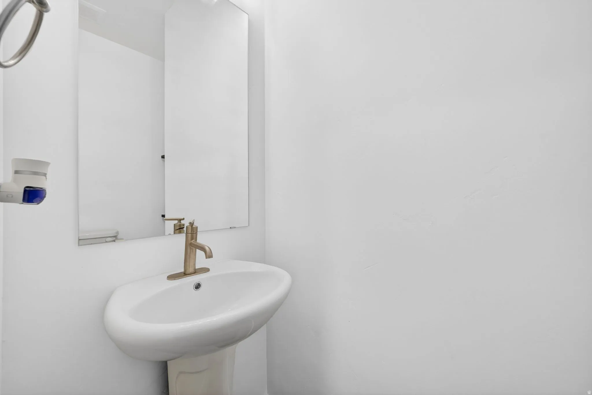 Pedestal sink featuring a brass-finish faucet, rectangular wall mirror, and white wall finishes