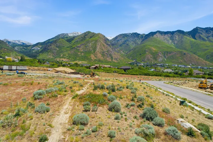 Expansive undeveloped lot featuring natural vegetation