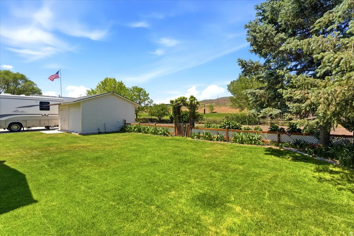 Expansive lawn area featuring a white storage shed and mature evergreen trees