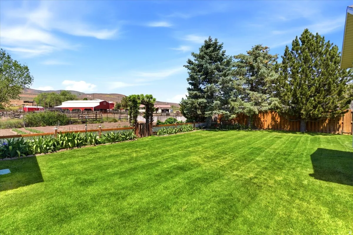 Expansive green lawn with defined mowing patterns, bordered by a privacy fence, mature evergreen trees, and a landscaped garden bed